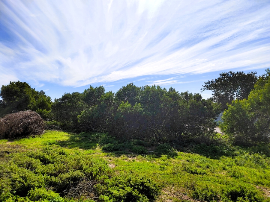 0 Bedroom Property for Sale in Da Gama Bay Western Cape